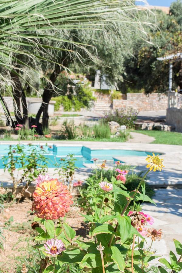 Doroufi Inn Koilas Ngoại thất bức ảnh